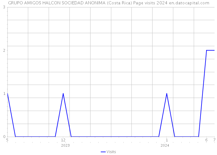 GRUPO AMIGOS HALCON SOCIEDAD ANONIMA (Costa Rica) Page visits 2024 