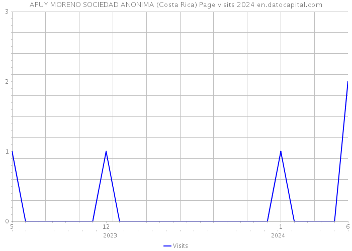 APUY MORENO SOCIEDAD ANONIMA (Costa Rica) Page visits 2024 