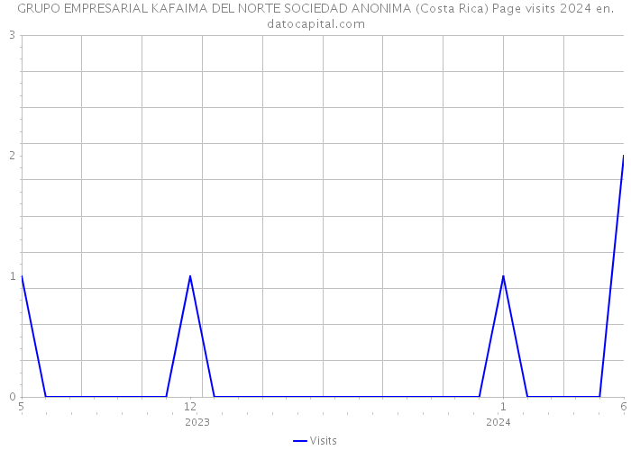 GRUPO EMPRESARIAL KAFAIMA DEL NORTE SOCIEDAD ANONIMA (Costa Rica) Page visits 2024 