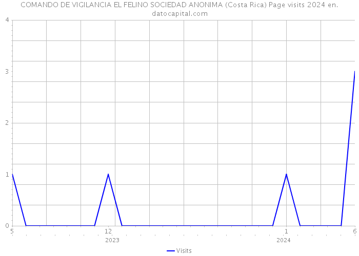 COMANDO DE VIGILANCIA EL FELINO SOCIEDAD ANONIMA (Costa Rica) Page visits 2024 