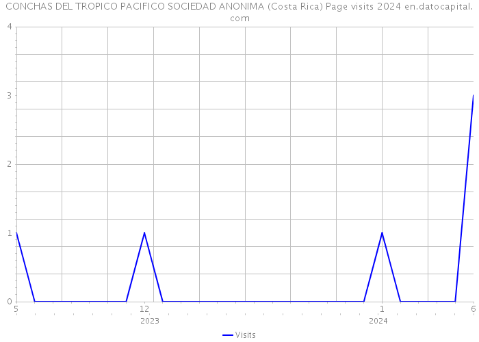 CONCHAS DEL TROPICO PACIFICO SOCIEDAD ANONIMA (Costa Rica) Page visits 2024 