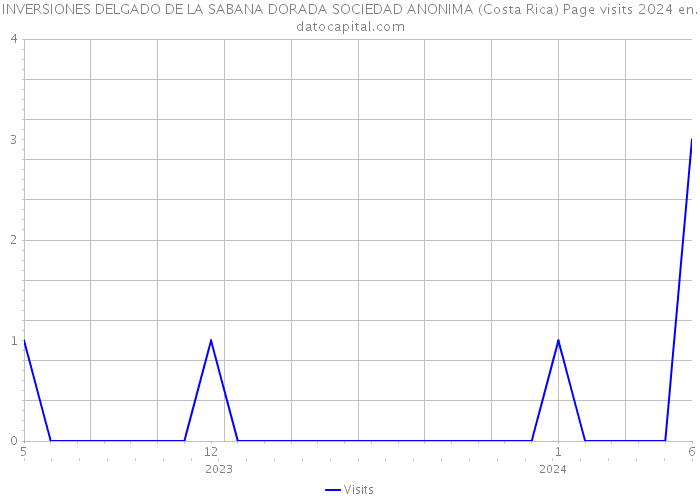INVERSIONES DELGADO DE LA SABANA DORADA SOCIEDAD ANONIMA (Costa Rica) Page visits 2024 