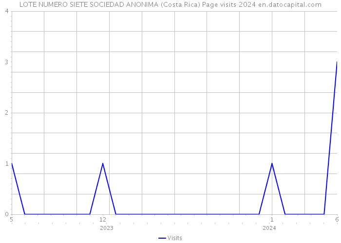 LOTE NUMERO SIETE SOCIEDAD ANONIMA (Costa Rica) Page visits 2024 