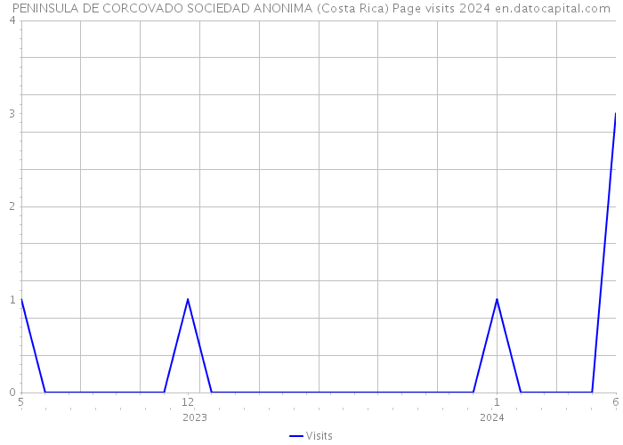 PENINSULA DE CORCOVADO SOCIEDAD ANONIMA (Costa Rica) Page visits 2024 