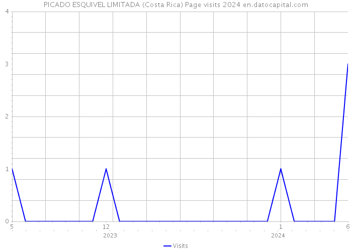 PICADO ESQUIVEL LIMITADA (Costa Rica) Page visits 2024 