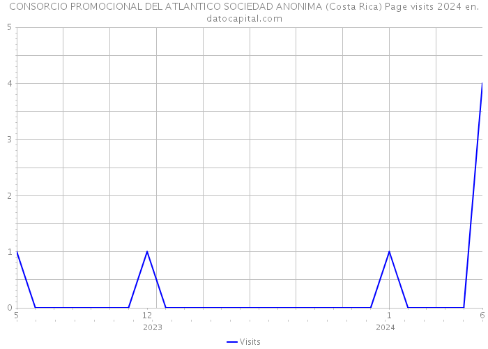 CONSORCIO PROMOCIONAL DEL ATLANTICO SOCIEDAD ANONIMA (Costa Rica) Page visits 2024 