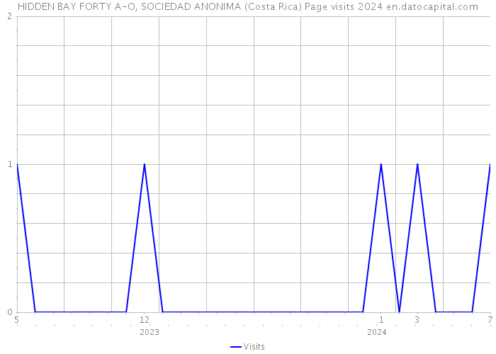 HIDDEN BAY FORTY A-O, SOCIEDAD ANONIMA (Costa Rica) Page visits 2024 