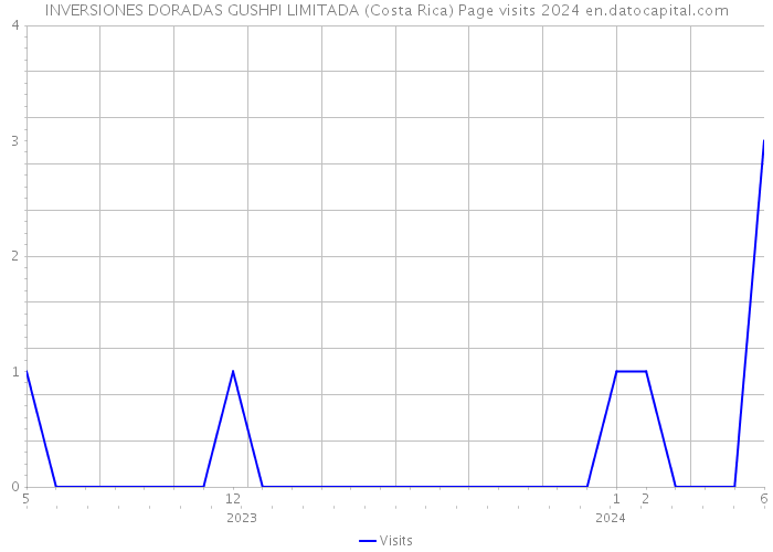 INVERSIONES DORADAS GUSHPI LIMITADA (Costa Rica) Page visits 2024 