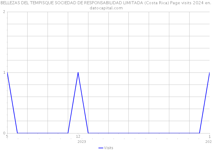 BELLEZAS DEL TEMPISQUE SOCIEDAD DE RESPONSABILIDAD LIMITADA (Costa Rica) Page visits 2024 