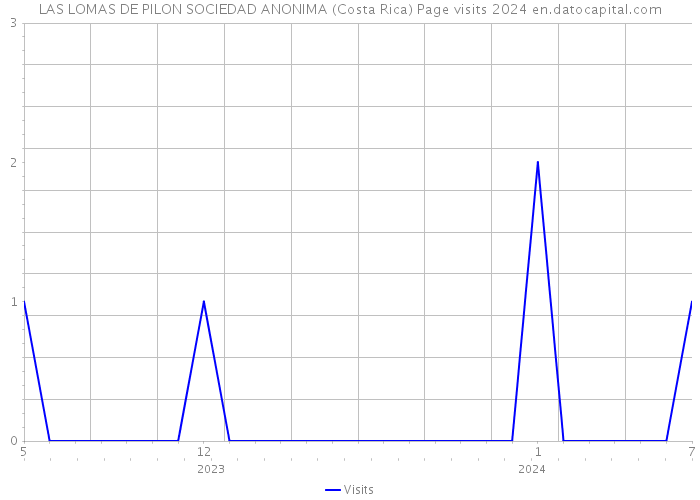 LAS LOMAS DE PILON SOCIEDAD ANONIMA (Costa Rica) Page visits 2024 