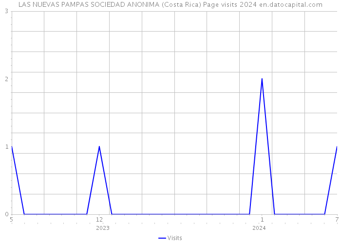LAS NUEVAS PAMPAS SOCIEDAD ANONIMA (Costa Rica) Page visits 2024 