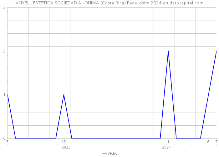 ANYELL ESTETICA SOCIEDAD ANONIMA (Costa Rica) Page visits 2024 