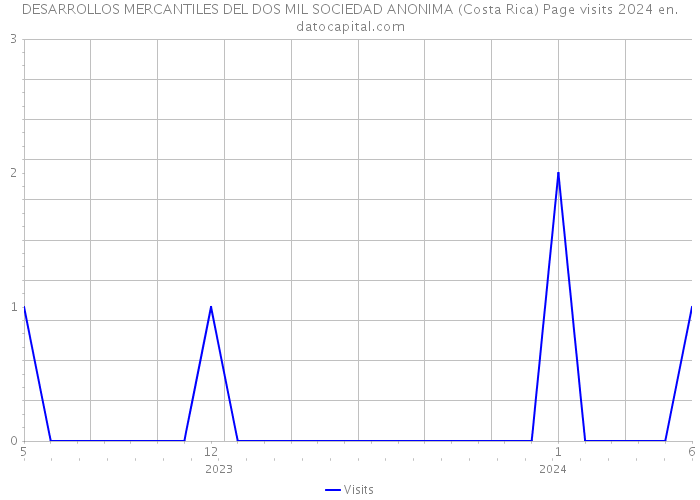 DESARROLLOS MERCANTILES DEL DOS MIL SOCIEDAD ANONIMA (Costa Rica) Page visits 2024 