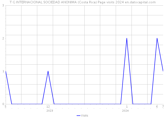 T G INTERNACIONAL SOCIEDAD ANONIMA (Costa Rica) Page visits 2024 