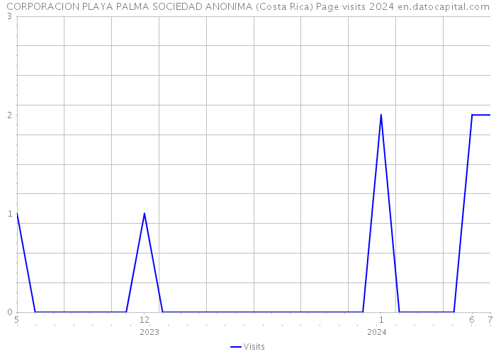 CORPORACION PLAYA PALMA SOCIEDAD ANONIMA (Costa Rica) Page visits 2024 