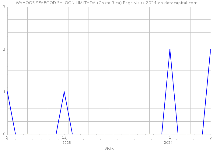 WAHOOS SEAFOOD SALOON LIMITADA (Costa Rica) Page visits 2024 