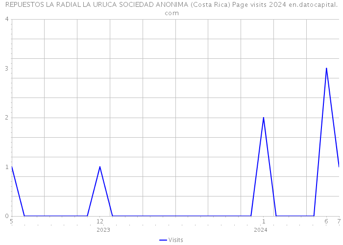 REPUESTOS LA RADIAL LA URUCA SOCIEDAD ANONIMA (Costa Rica) Page visits 2024 
