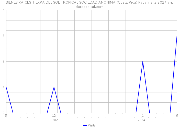 BIENES RAICES TIERRA DEL SOL TROPICAL SOCIEDAD ANONIMA (Costa Rica) Page visits 2024 