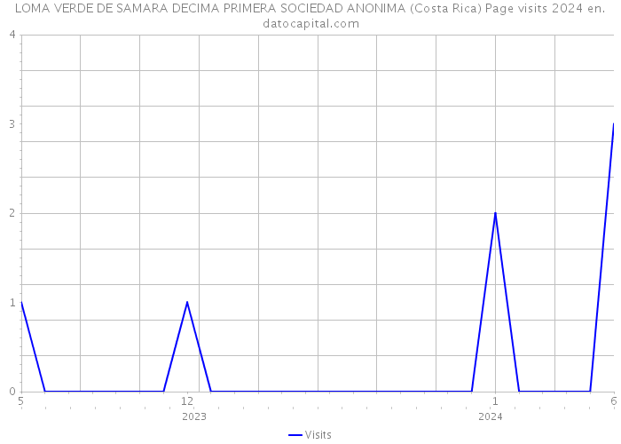 LOMA VERDE DE SAMARA DECIMA PRIMERA SOCIEDAD ANONIMA (Costa Rica) Page visits 2024 