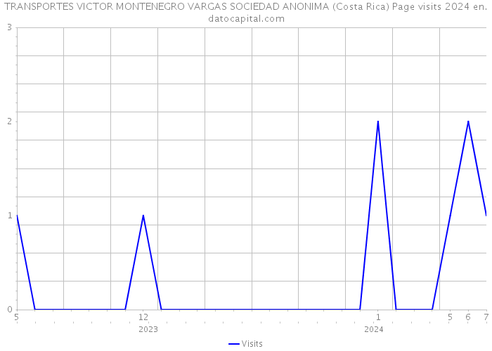 TRANSPORTES VICTOR MONTENEGRO VARGAS SOCIEDAD ANONIMA (Costa Rica) Page visits 2024 
