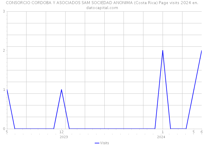 CONSORCIO CORDOBA Y ASOCIADOS SAM SOCIEDAD ANONIMA (Costa Rica) Page visits 2024 