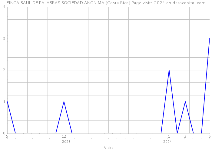 FINCA BAUL DE PALABRAS SOCIEDAD ANONIMA (Costa Rica) Page visits 2024 