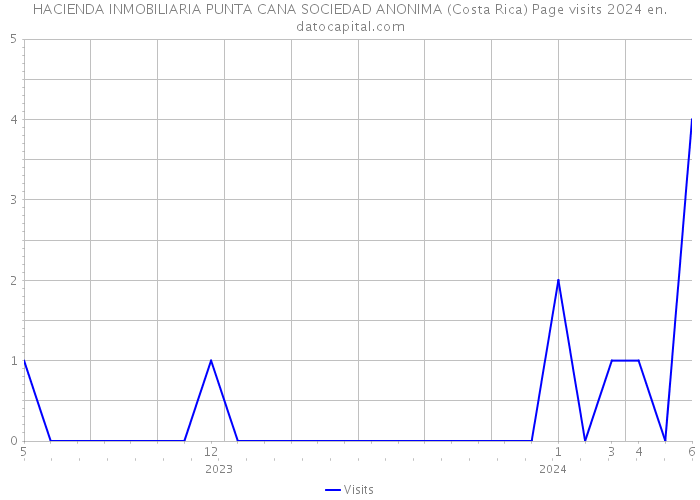 HACIENDA INMOBILIARIA PUNTA CANA SOCIEDAD ANONIMA (Costa Rica) Page visits 2024 
