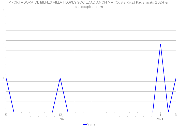 IMPORTADORA DE BIENES VILLA FLORES SOCIEDAD ANONIMA (Costa Rica) Page visits 2024 
