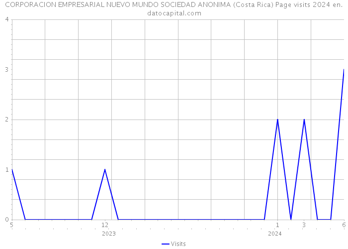 CORPORACION EMPRESARIAL NUEVO MUNDO SOCIEDAD ANONIMA (Costa Rica) Page visits 2024 