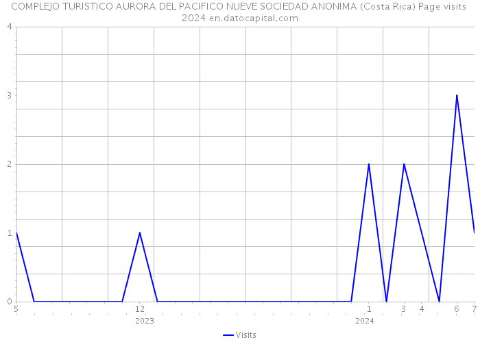 COMPLEJO TURISTICO AURORA DEL PACIFICO NUEVE SOCIEDAD ANONIMA (Costa Rica) Page visits 2024 