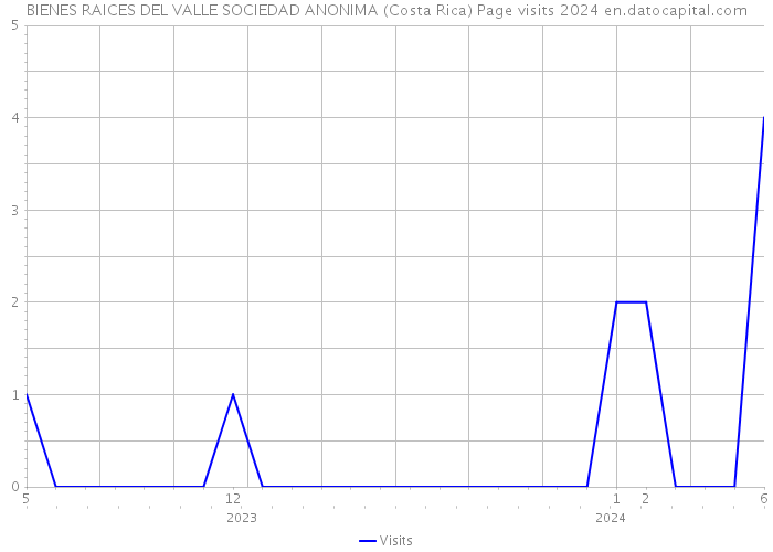 BIENES RAICES DEL VALLE SOCIEDAD ANONIMA (Costa Rica) Page visits 2024 