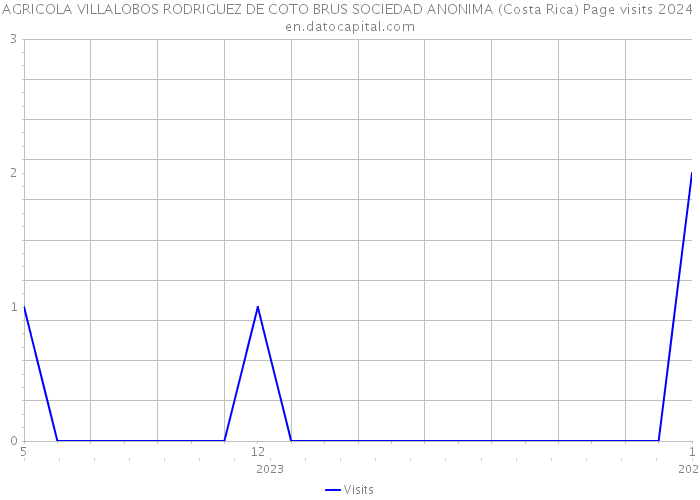 AGRICOLA VILLALOBOS RODRIGUEZ DE COTO BRUS SOCIEDAD ANONIMA (Costa Rica) Page visits 2024 