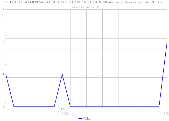 CONSULTORIA EMPRESARIAL DE SEGURIDAD SOCIEDAD ANONIMA (Costa Rica) Page visits 2024 