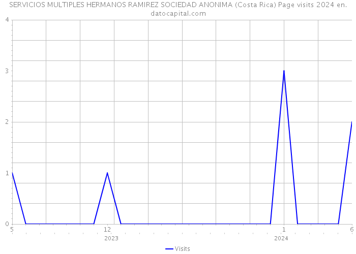 SERVICIOS MULTIPLES HERMANOS RAMIREZ SOCIEDAD ANONIMA (Costa Rica) Page visits 2024 
