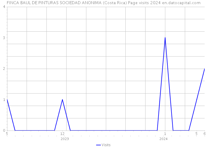 FINCA BAUL DE PINTURAS SOCIEDAD ANONIMA (Costa Rica) Page visits 2024 