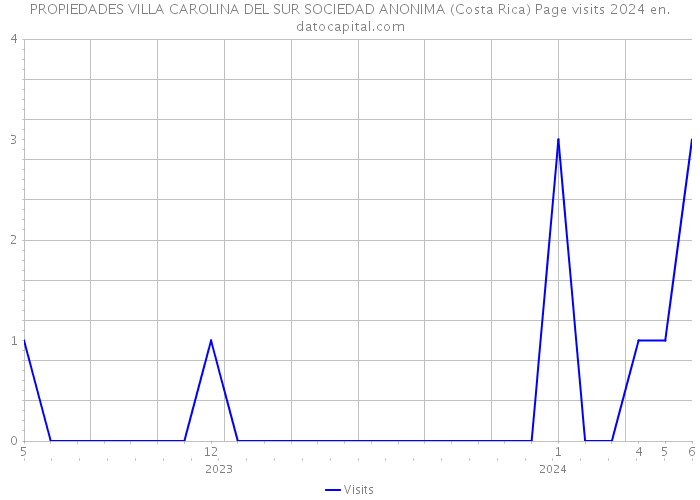 PROPIEDADES VILLA CAROLINA DEL SUR SOCIEDAD ANONIMA (Costa Rica) Page visits 2024 