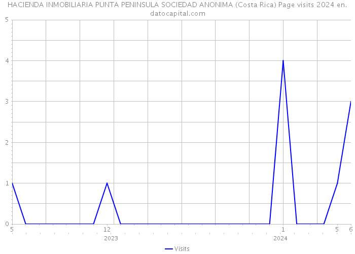 HACIENDA INMOBILIARIA PUNTA PENINSULA SOCIEDAD ANONIMA (Costa Rica) Page visits 2024 