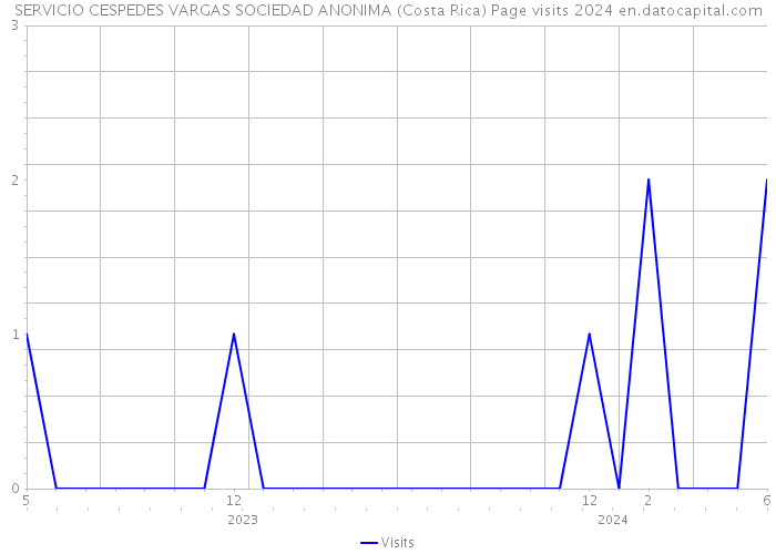 SERVICIO CESPEDES VARGAS SOCIEDAD ANONIMA (Costa Rica) Page visits 2024 