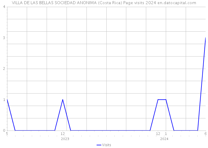 VILLA DE LAS BELLAS SOCIEDAD ANONIMA (Costa Rica) Page visits 2024 