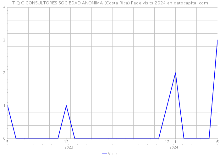 T Q C CONSULTORES SOCIEDAD ANONIMA (Costa Rica) Page visits 2024 