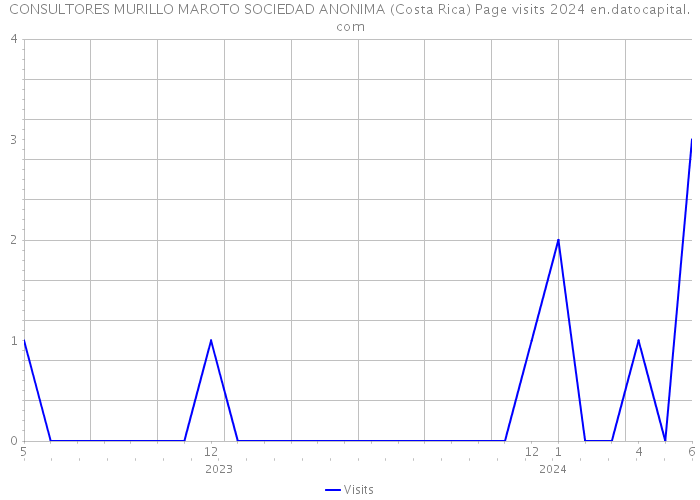 CONSULTORES MURILLO MAROTO SOCIEDAD ANONIMA (Costa Rica) Page visits 2024 