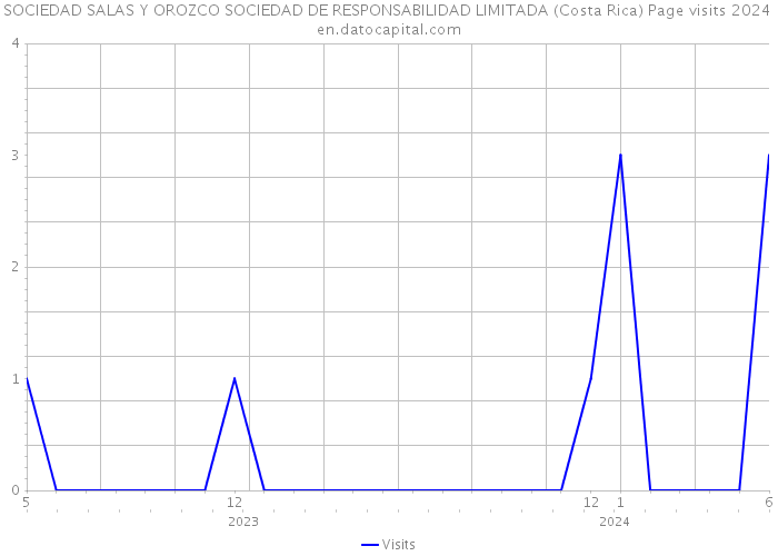 SOCIEDAD SALAS Y OROZCO SOCIEDAD DE RESPONSABILIDAD LIMITADA (Costa Rica) Page visits 2024 