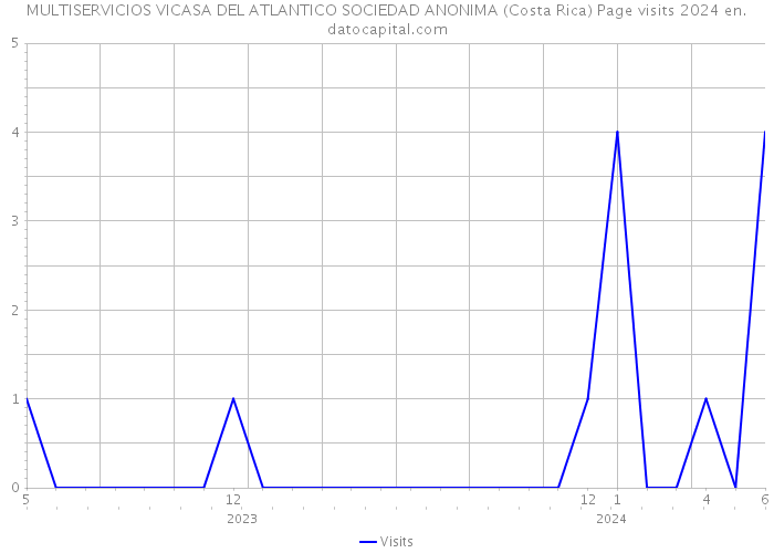 MULTISERVICIOS VICASA DEL ATLANTICO SOCIEDAD ANONIMA (Costa Rica) Page visits 2024 
