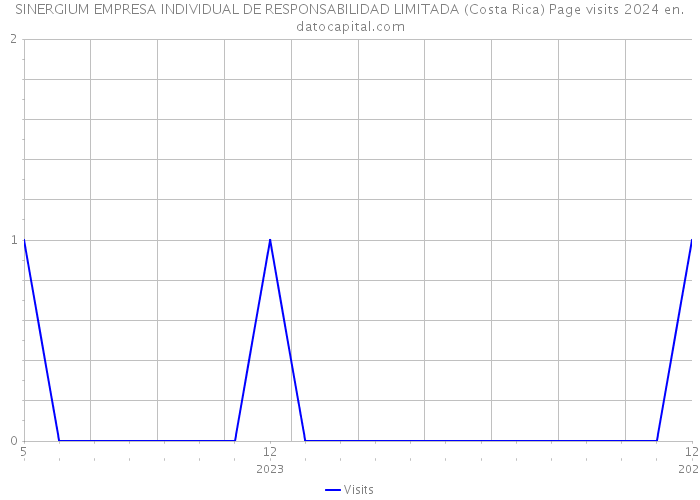 SINERGIUM EMPRESA INDIVIDUAL DE RESPONSABILIDAD LIMITADA (Costa Rica) Page visits 2024 