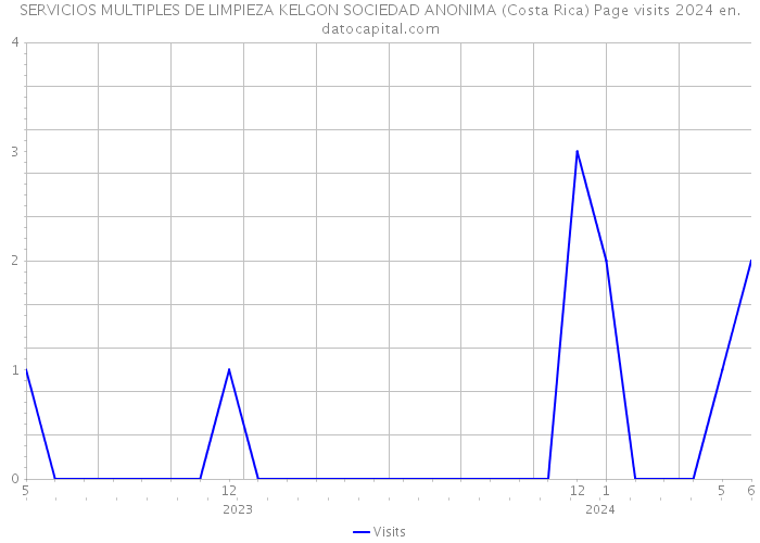 SERVICIOS MULTIPLES DE LIMPIEZA KELGON SOCIEDAD ANONIMA (Costa Rica) Page visits 2024 