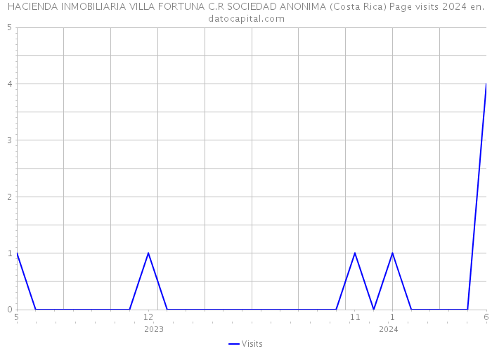HACIENDA INMOBILIARIA VILLA FORTUNA C.R SOCIEDAD ANONIMA (Costa Rica) Page visits 2024 