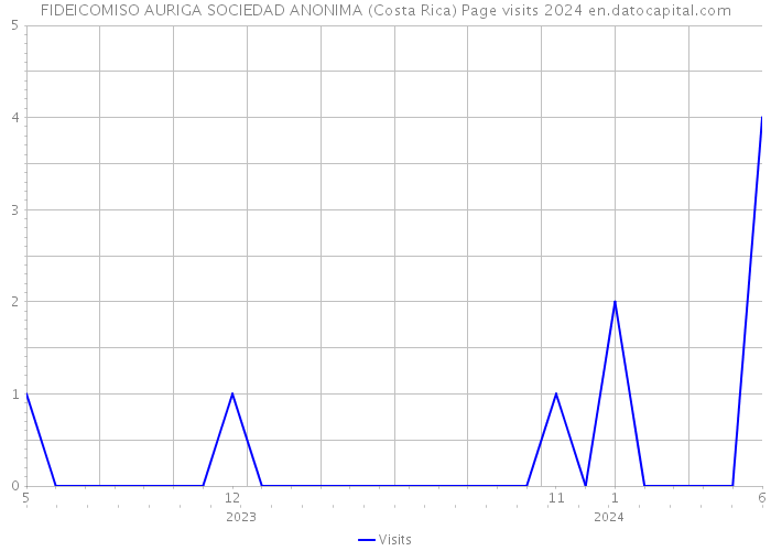FIDEICOMISO AURIGA SOCIEDAD ANONIMA (Costa Rica) Page visits 2024 
