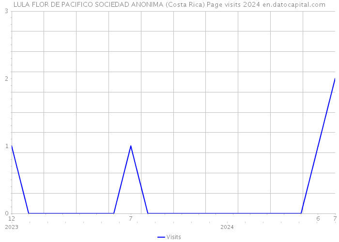 LULA FLOR DE PACIFICO SOCIEDAD ANONIMA (Costa Rica) Page visits 2024 