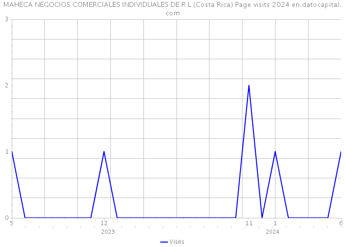 MAHECA NEGOCIOS COMERCIALES INDIVIDUALES DE R L (Costa Rica) Page visits 2024 