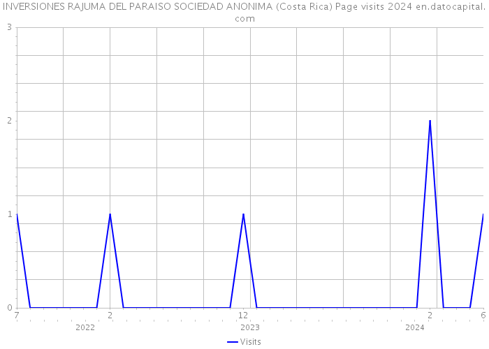 INVERSIONES RAJUMA DEL PARAISO SOCIEDAD ANONIMA (Costa Rica) Page visits 2024 